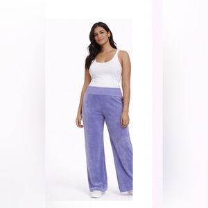 💜 NWOT! BP Lilac Velour Pant